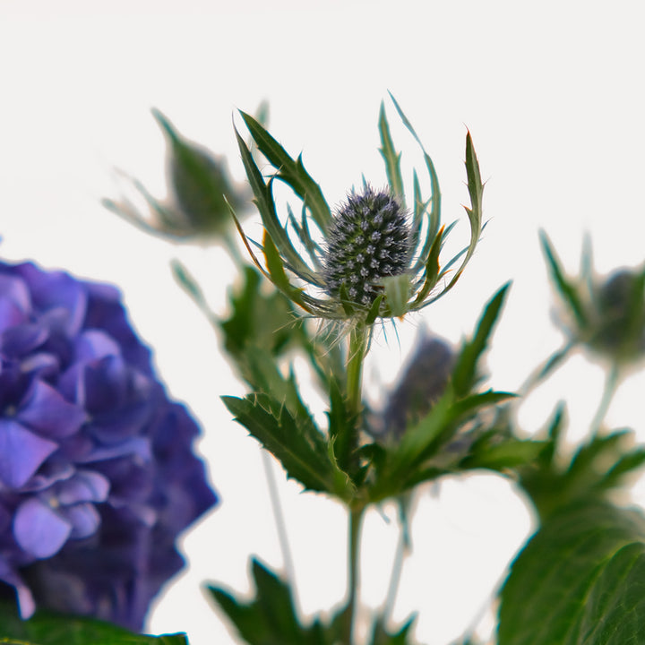 Purple Hydrangea Flower Arrangement In ceramic vase