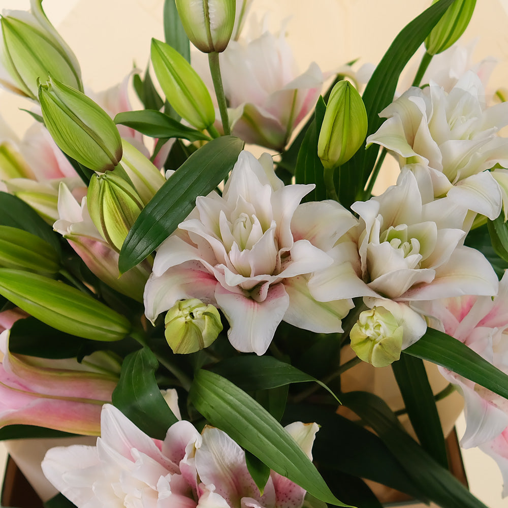 Lily Grace Flower Bouquet – Double Petalled Lilies in TWIGS Carry Bag