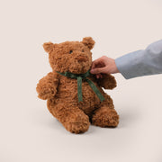 Soft Brown Teddy Bear – A Cuddly Companion for Every Occasion