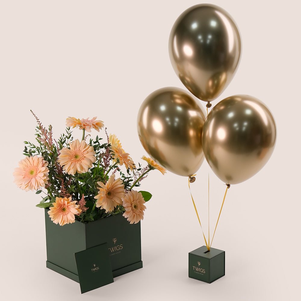 Peach Bliss – Gerbera, Astilbe & Balloons Bundle – A Sophisticated Celebration of Soft Elegance and Festivity