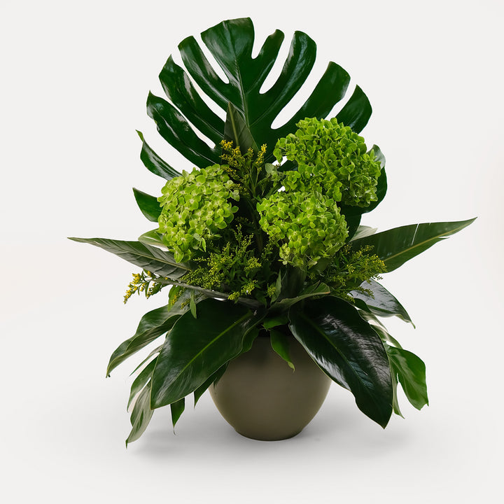 Green hydrangea flower arrangement with Monstera swiss cheese leaves and palm leaves