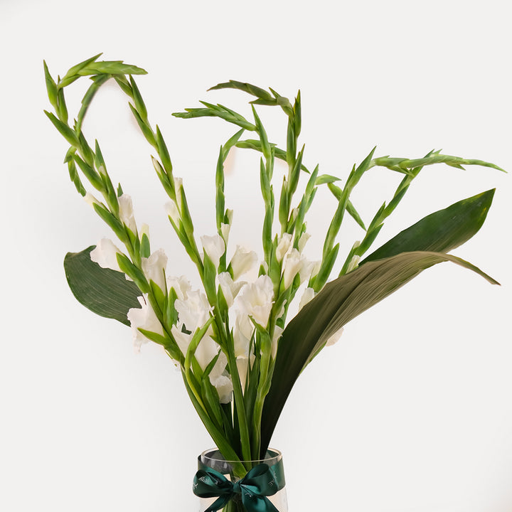 GLADIOLUS WHITE  FLOWER ARRANGEMENT IN VASE