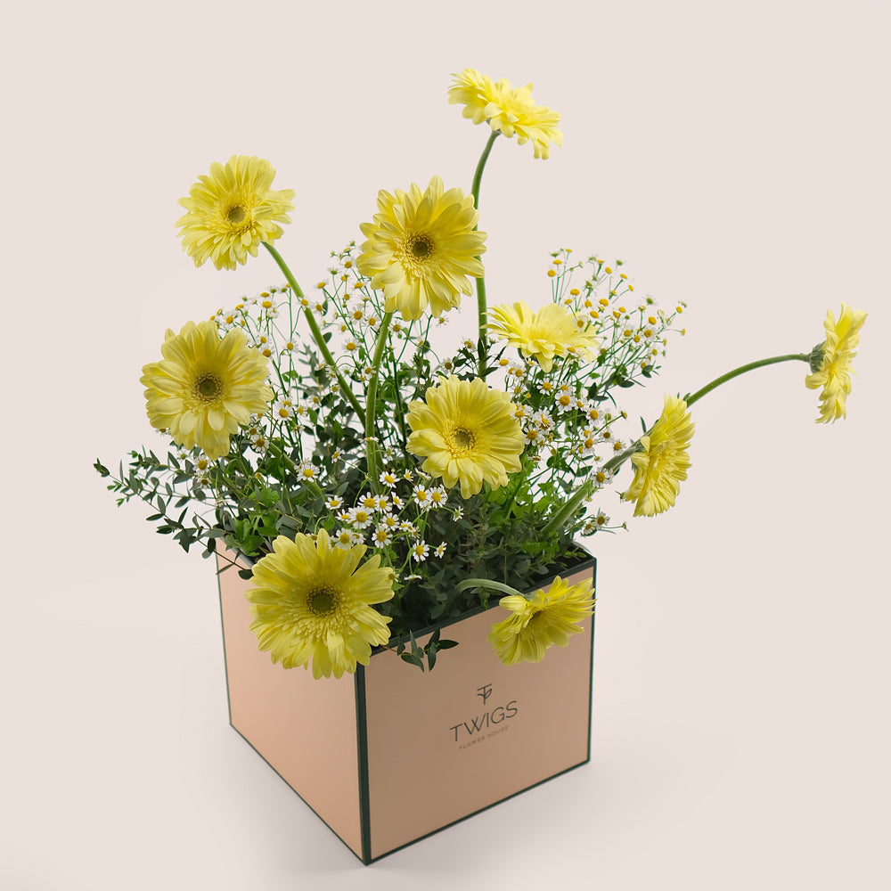 Sunny Delight – Yellow Gerbera & Chamomile Flower Box – A Cheerful and Elegant Floral Gift