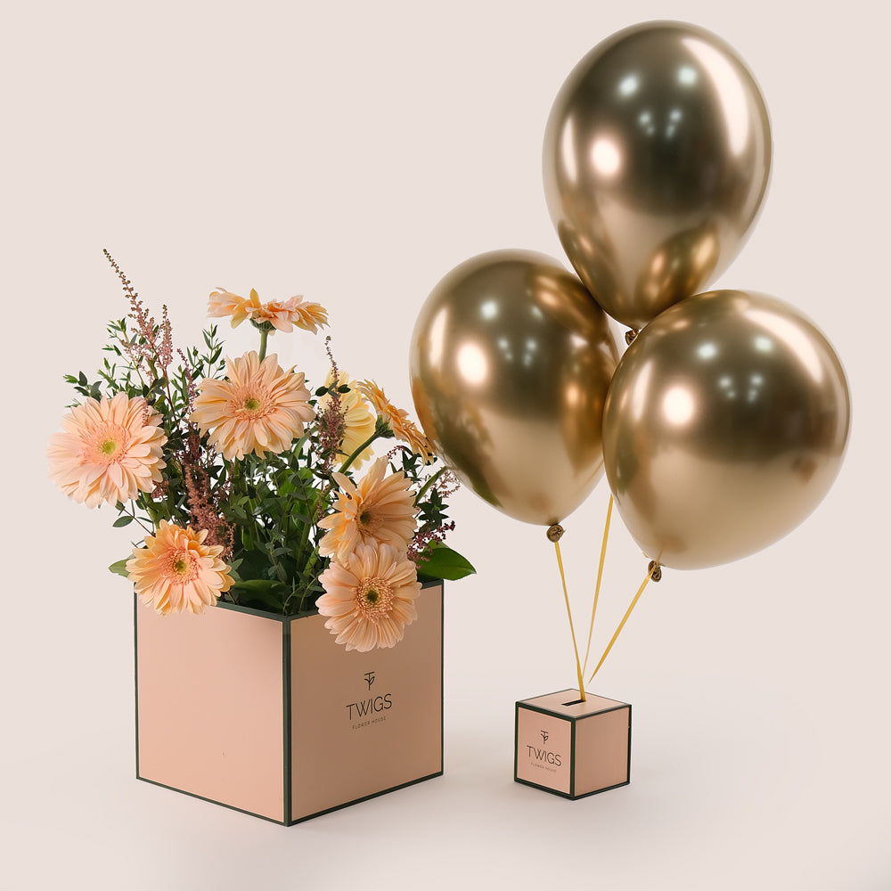 Peach Bliss – Gerbera, Astilbe & Balloons Bundle – A Sophisticated Celebration of Soft Elegance and Festivity