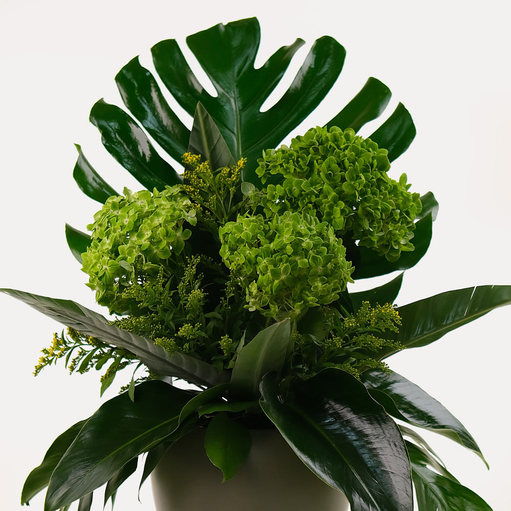 Green hydrangea flower arrangement with Monstera swiss cheese leaves and palm leaves