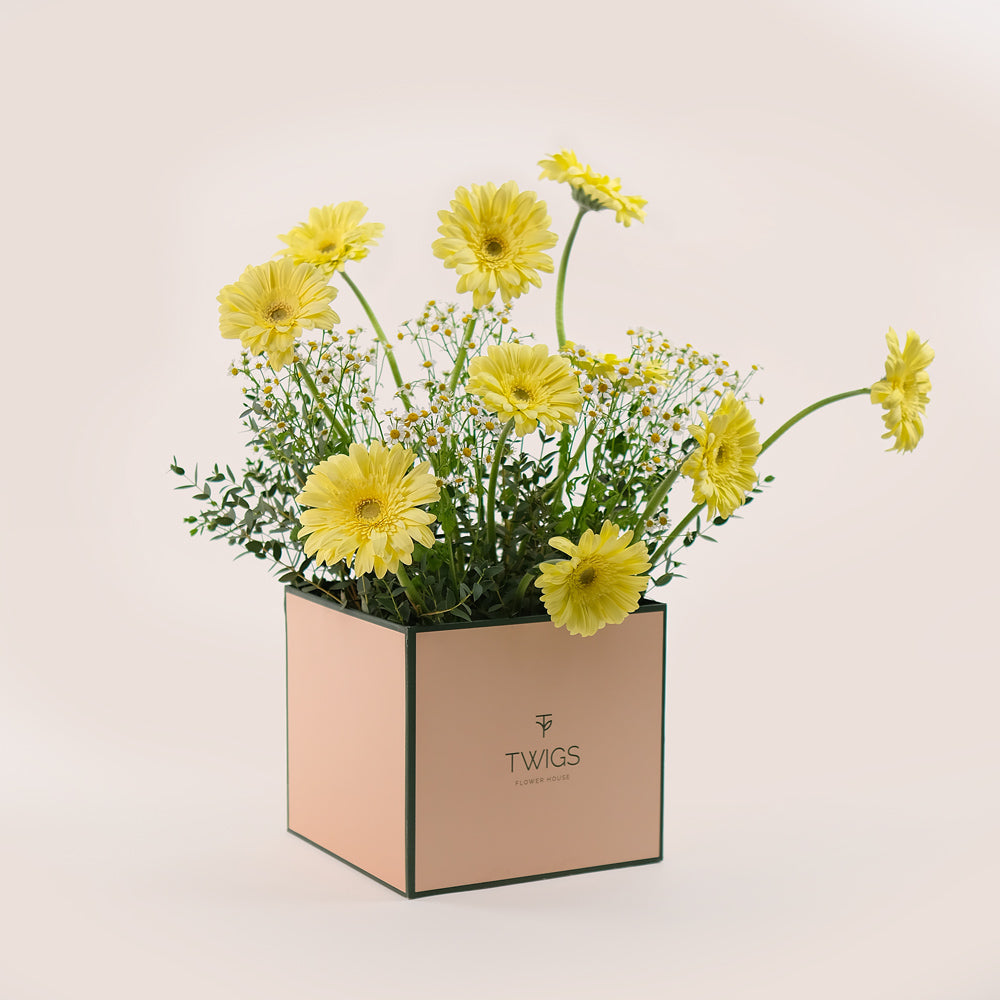 Sunny Delight – Yellow Gerbera & Chamomile Flower Box – A Cheerful and Elegant Floral Gift