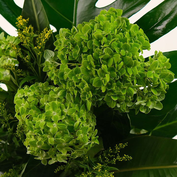 Green hydrangea flower arrangement with Monstera swiss cheese leaves and palm leaves