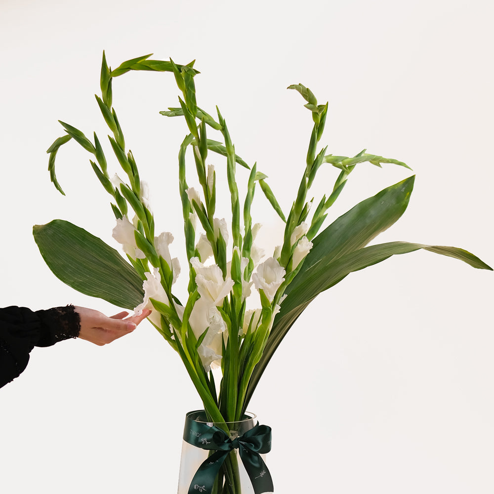 GLADIOLUS WHITE  FLOWER ARRANGEMENT IN VASE