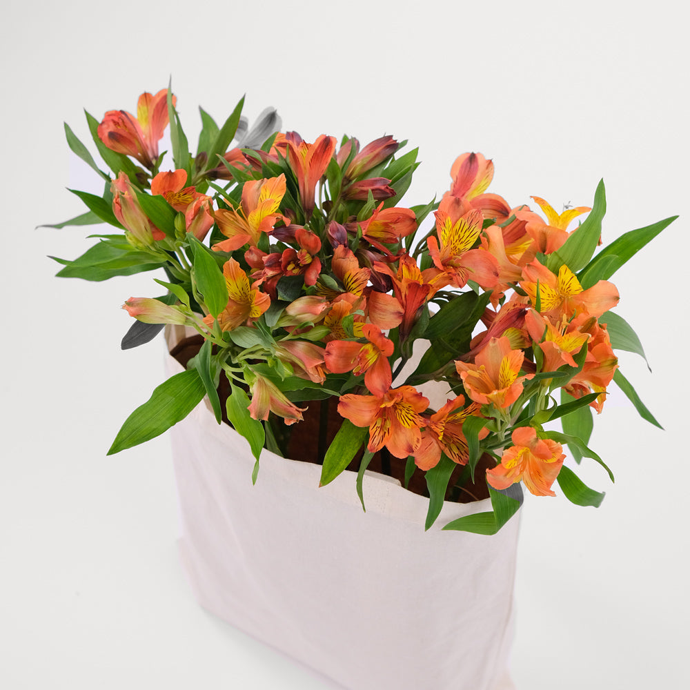 Orange Alstroemerias in a Reusable Canvas Tote – Bright Blooms with a Warm Touch