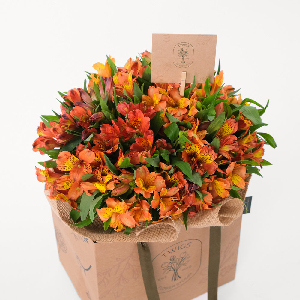 Alstroemeria Orange Flowers Bouquet In A Bag