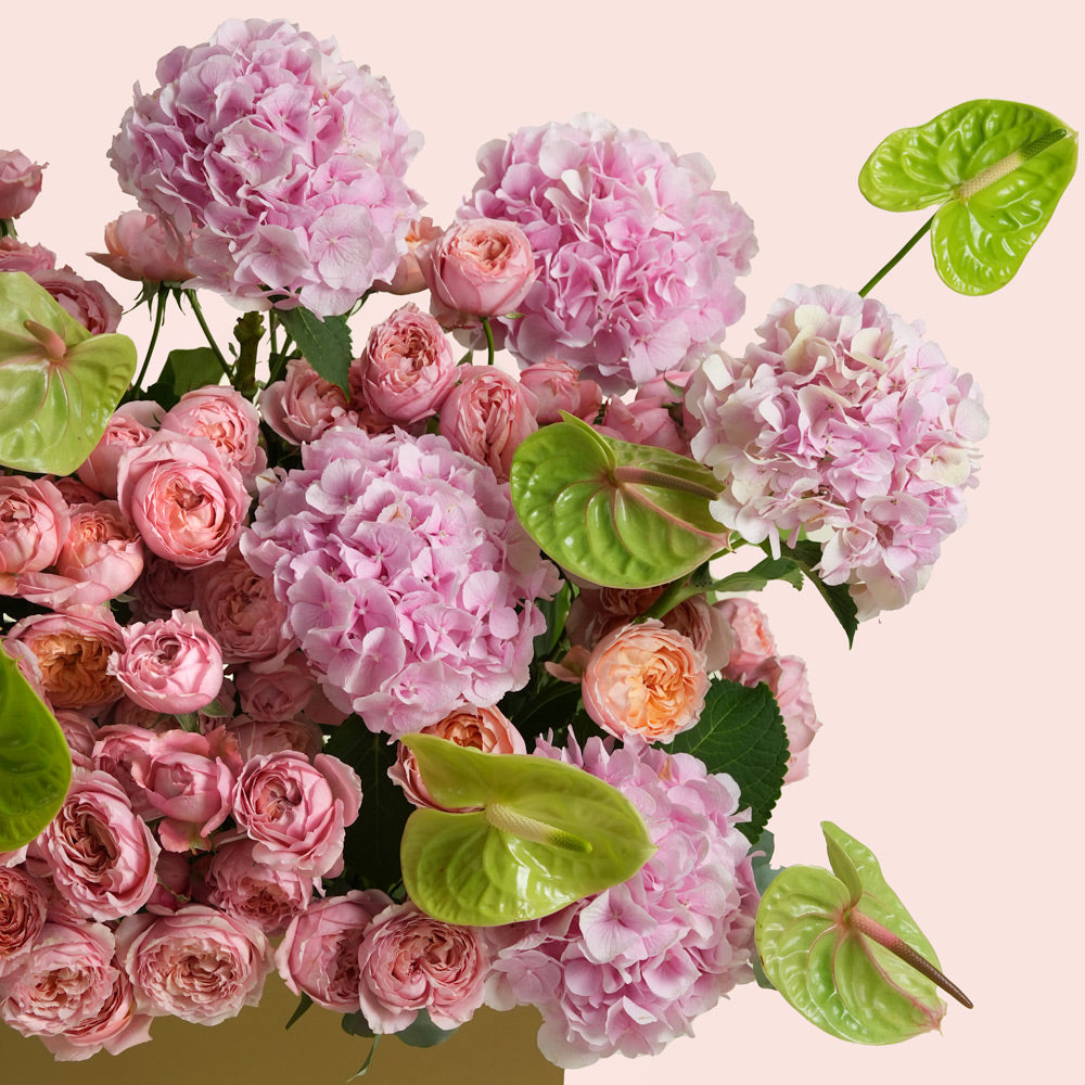 A dense floral arrangement featuring light pink roses, pink hydrangea-like blooms, and glossy green anthuriums by TWIGS