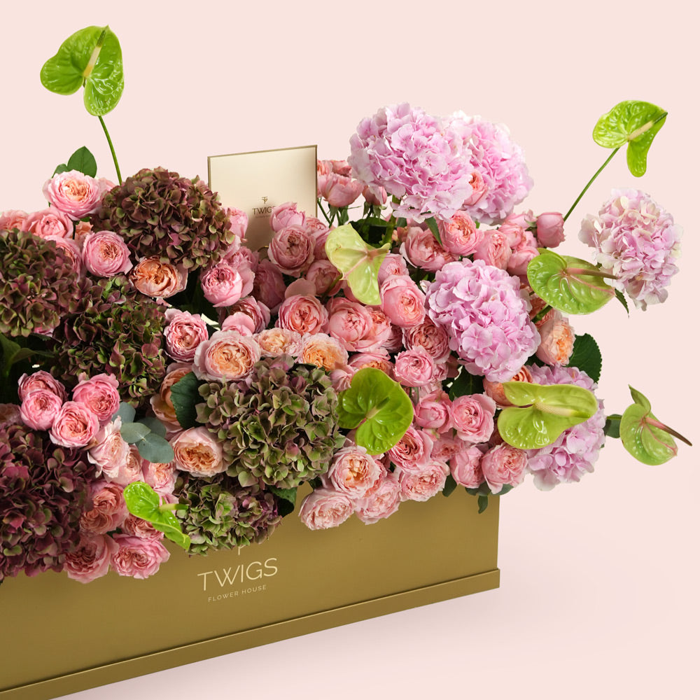 Isadora, a luxury floral arrangement of pink and peach garden roses, pink and classic hydrangeas, and green anthurium leaves in a rectangular TWIGS Gold garden box.