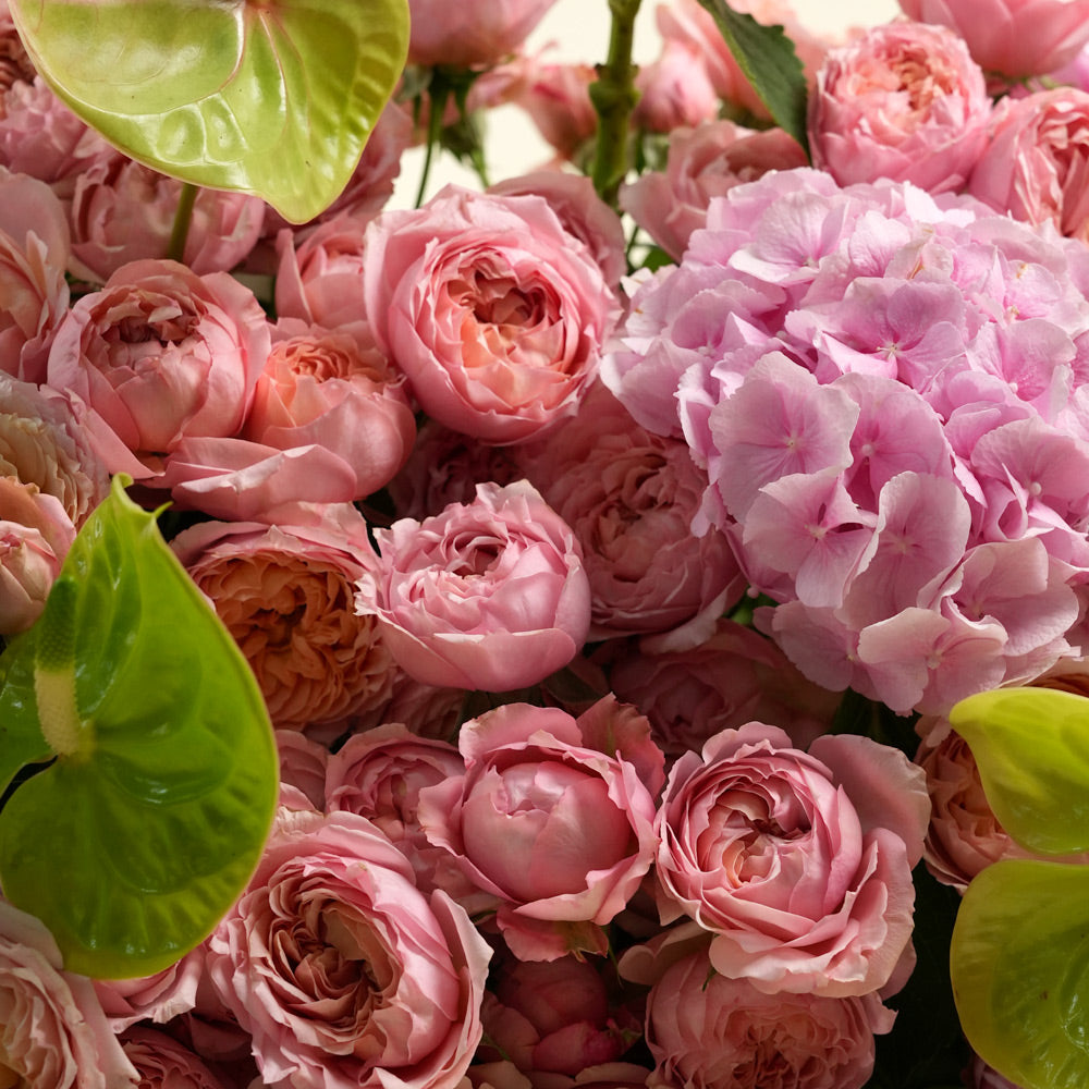 A close-up of a dense floral arrangement featuring light pink roses and a large pink hydrangea-like bloom, accented by glossy green leaves.