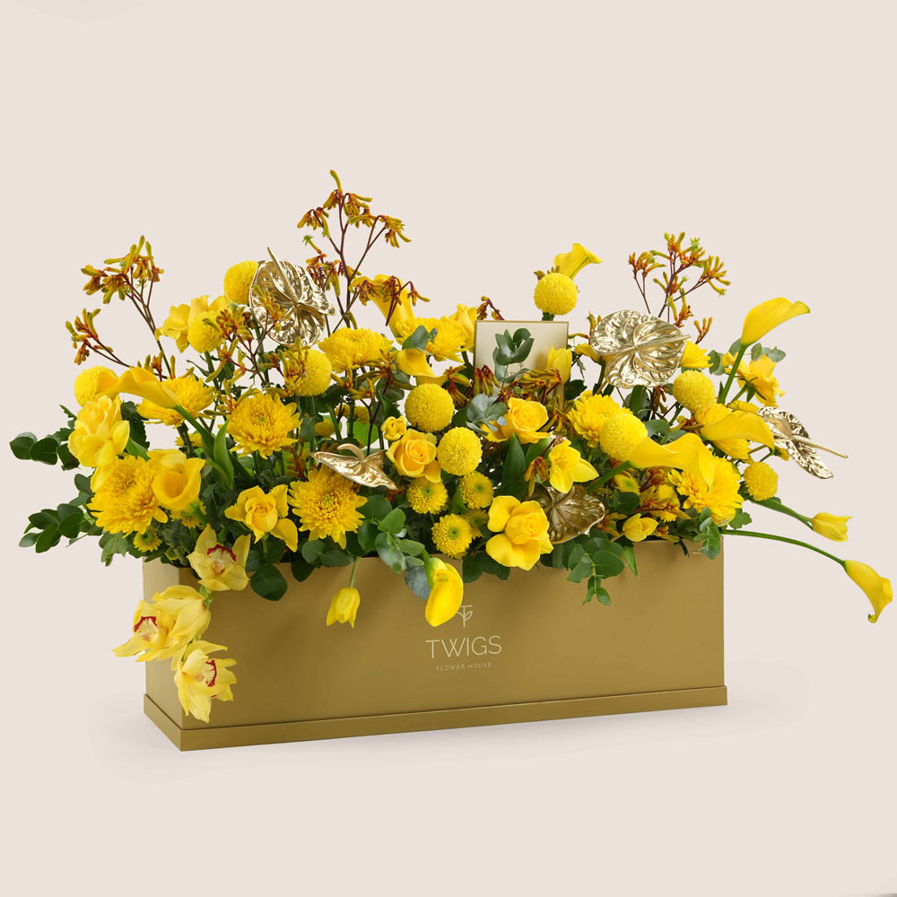 Solara, a vibrant yellow floral arrangement of calla lilies, roses, chrysanthemums, kangaroo paw, and gold painted anthurium leaves in a rectangular TWIGS Gold garden box.