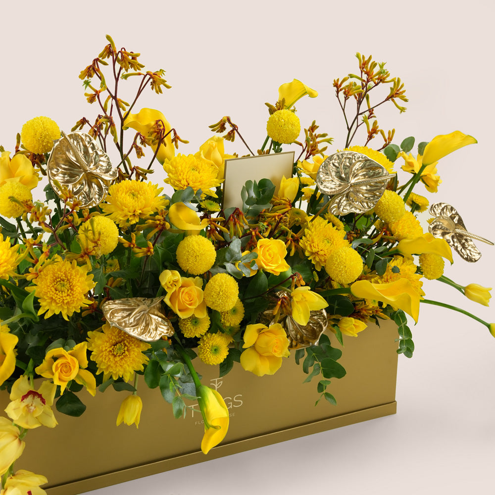 Solara, a vibrant yellow floral arrangement of calla lilies, roses, chrysanthemums, kangaroo paw, and gold painted anthurium leaves in a rectangular TWIGS Gold garden box.
