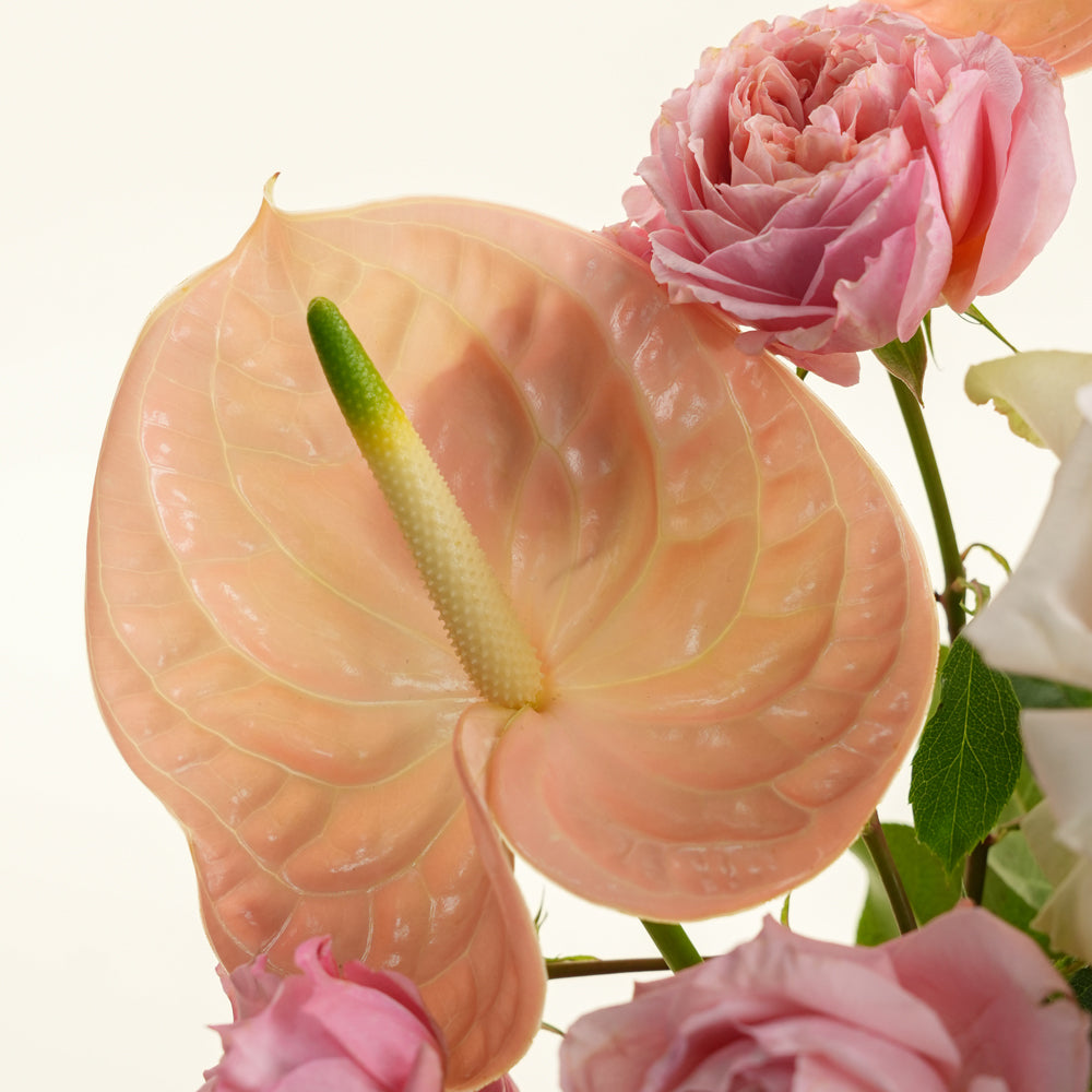 Uns & Truffles Ceramic Vase Arrangement & Premium Truffles · Petite Fours · Eid Al Adha Gift Set