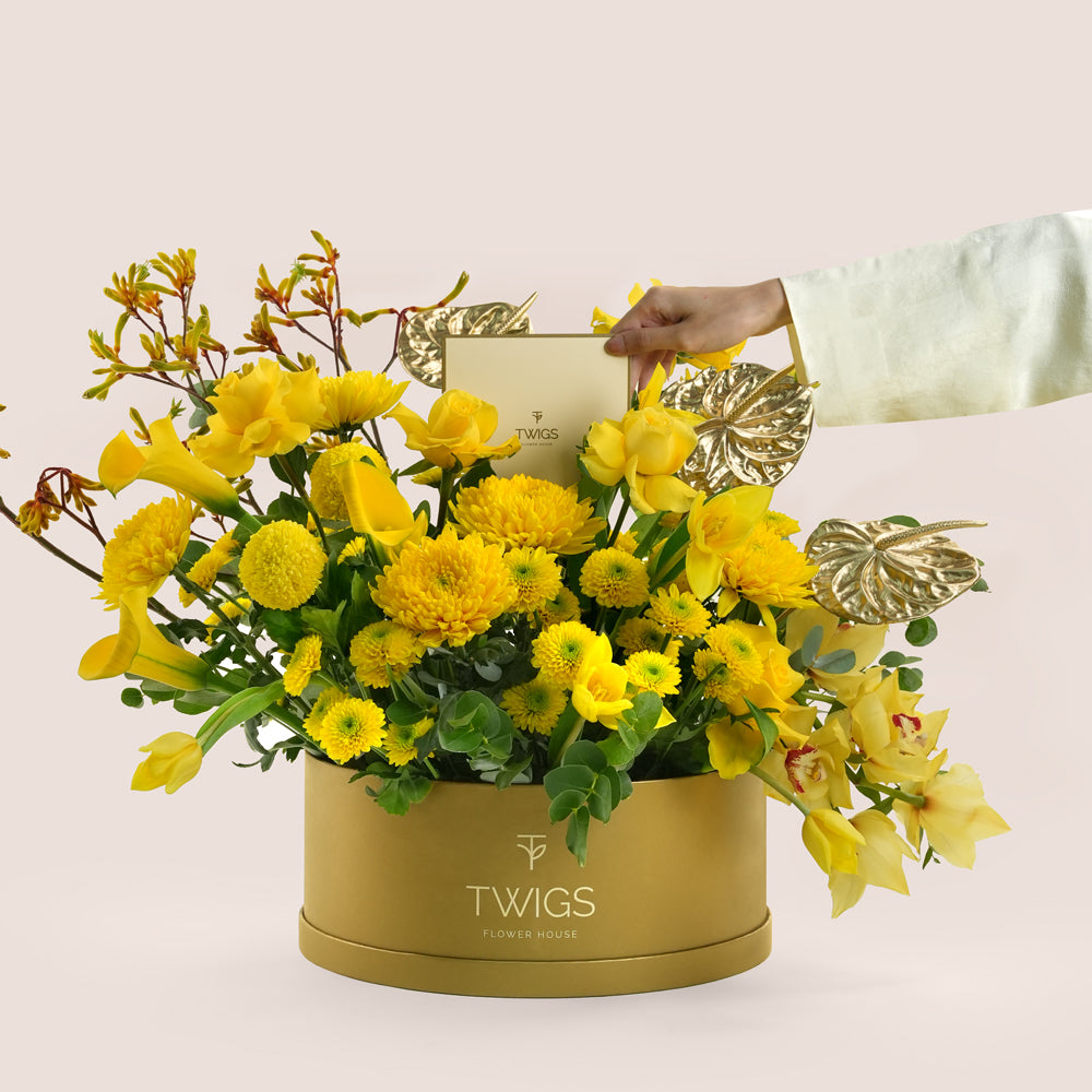 Solara, a vibrant yellow floral arrangement of calla lilies, chrysanthemums, tulips, roses, cymbidium orchids, kangaroo paw, and gold painted anthurium leaves in a round TWIGS Gold flower box.