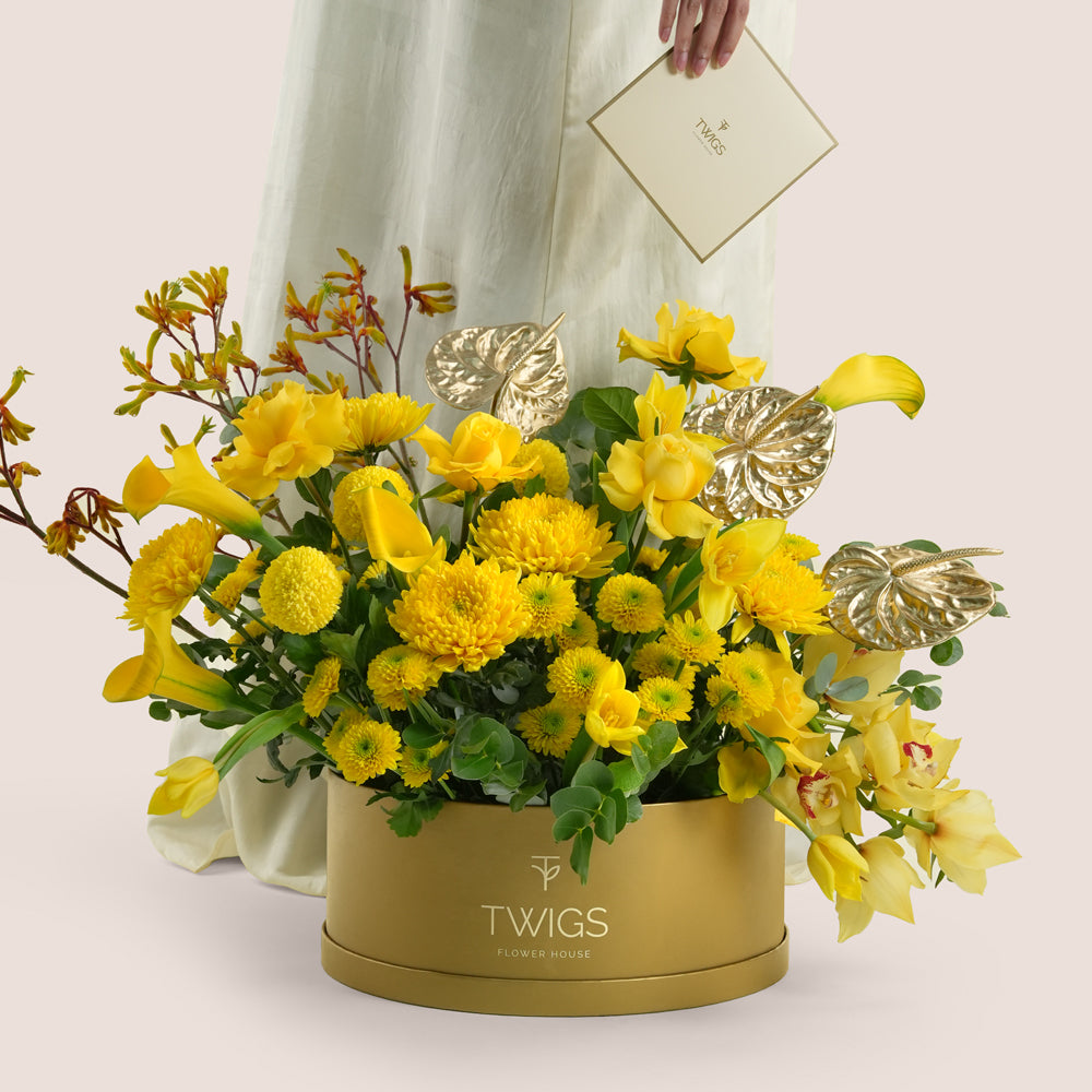 Solara, a vibrant yellow floral arrangement of calla lilies, chrysanthemums, tulips, roses, cymbidium orchids, kangaroo paw, and gold painted anthurium leaves in a round TWIGS Gold flower box.