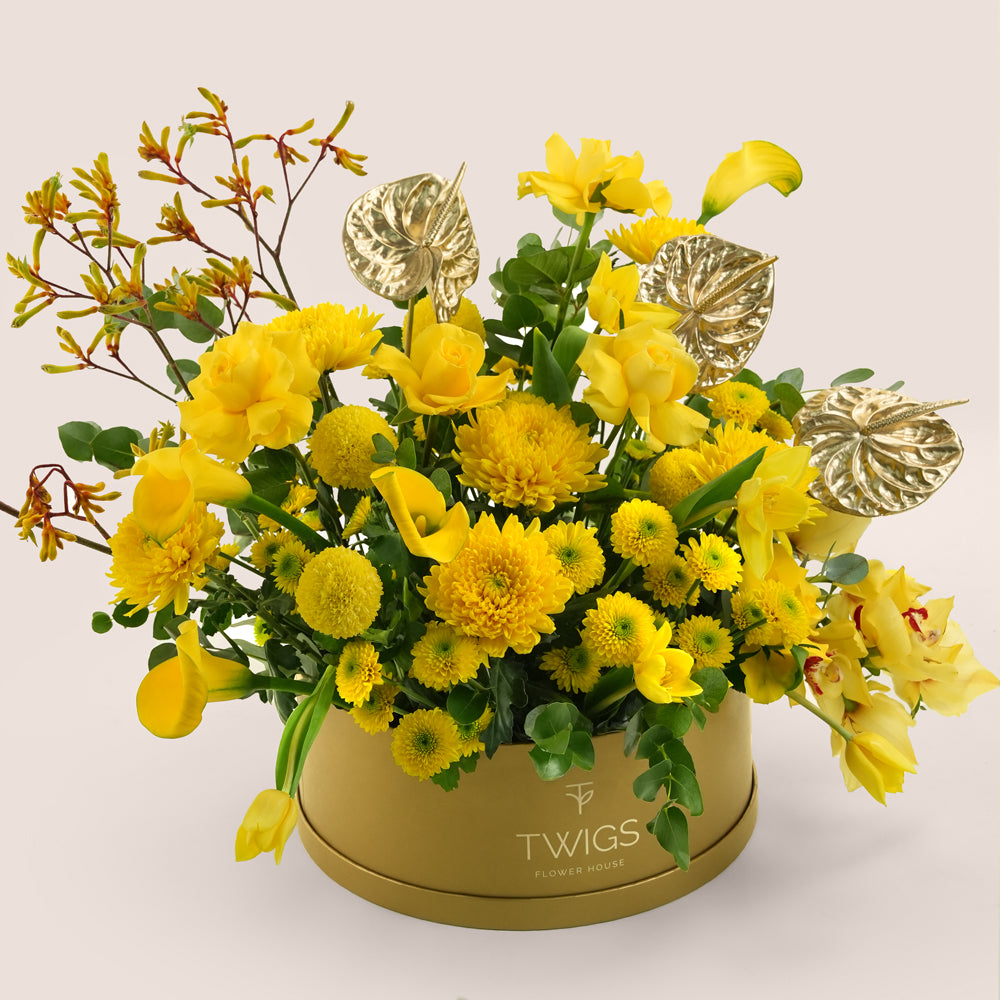 Solara, a vibrant yellow floral arrangement of calla lilies, chrysanthemums, tulips, roses, cymbidium orchids, kangaroo paw, and gold painted anthurium leaves in a round TWIGS Gold flower box.