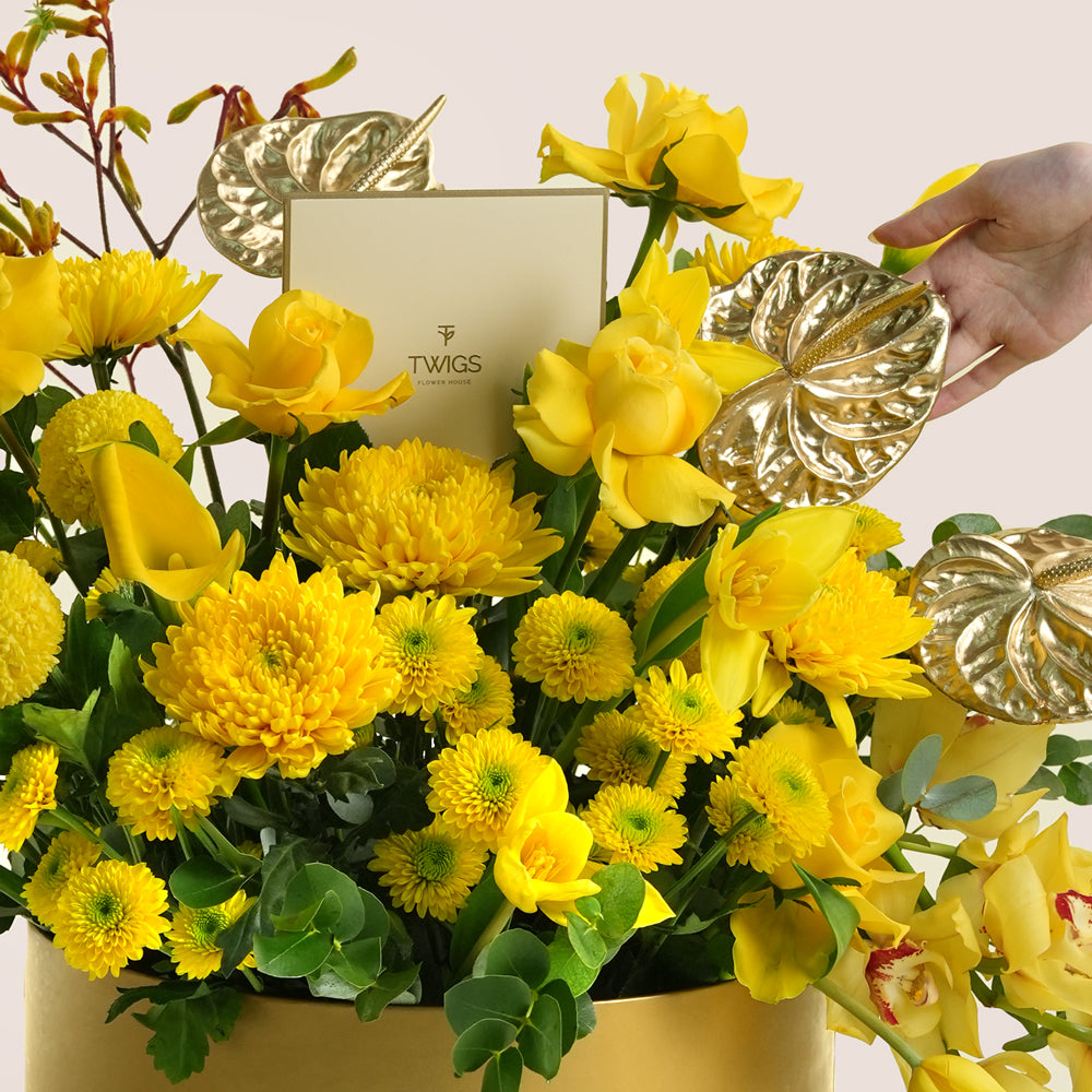 Solara, a vibrant yellow floral arrangement of calla lilies, chrysanthemums, tulips, roses, cymbidium orchids, kangaroo paw, and gold painted anthurium leaves in a round TWIGS Gold flower box.