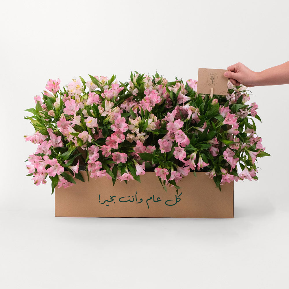 Alstroemeria Pink Flowers Garden Box