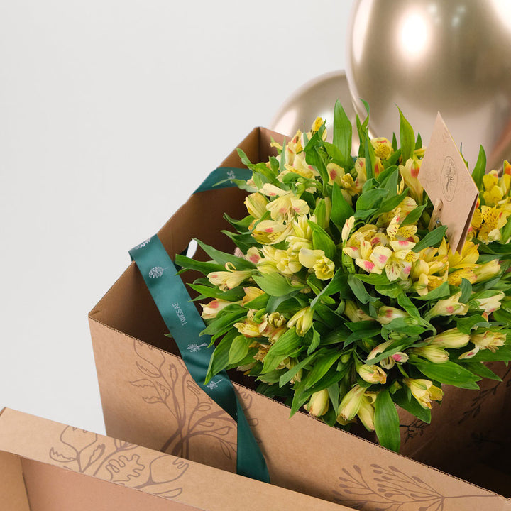 Alstroemeria Yellow Flowers Surprise Box