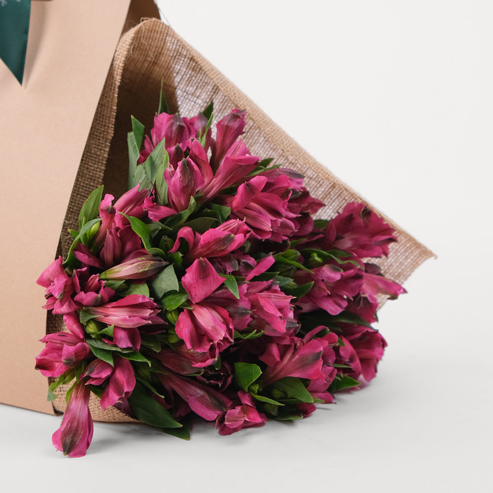 Alstroemeria Purple Flowers Bunch