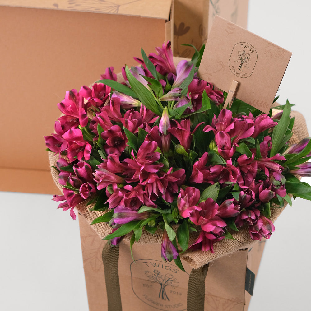 Alstroemeria Purple Flowers Surprise Box