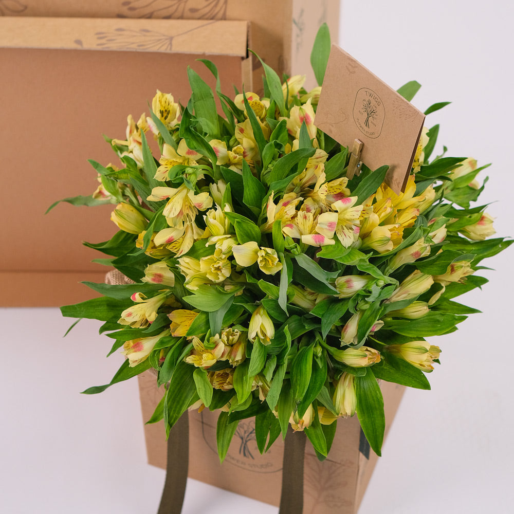 Alstroemeria Yellow Flowers Surprise Box