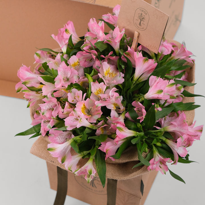 Alstroemeria Pink Flowers Surprise box