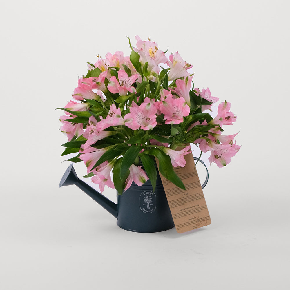 Alstroemeria PINK Flowers TWIGS-it Can