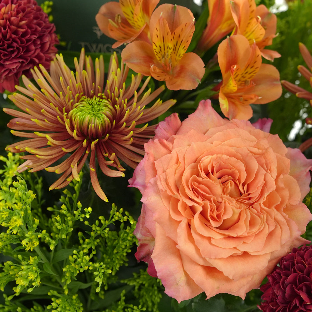 Orange Ecuador roses, alstroemerias, spider chrysanthemums, and burgundy pom pom mums arranged with greenery in a TWIGS beige or green square box, available for same day flower delivery in Dubai when you buy flowers online.