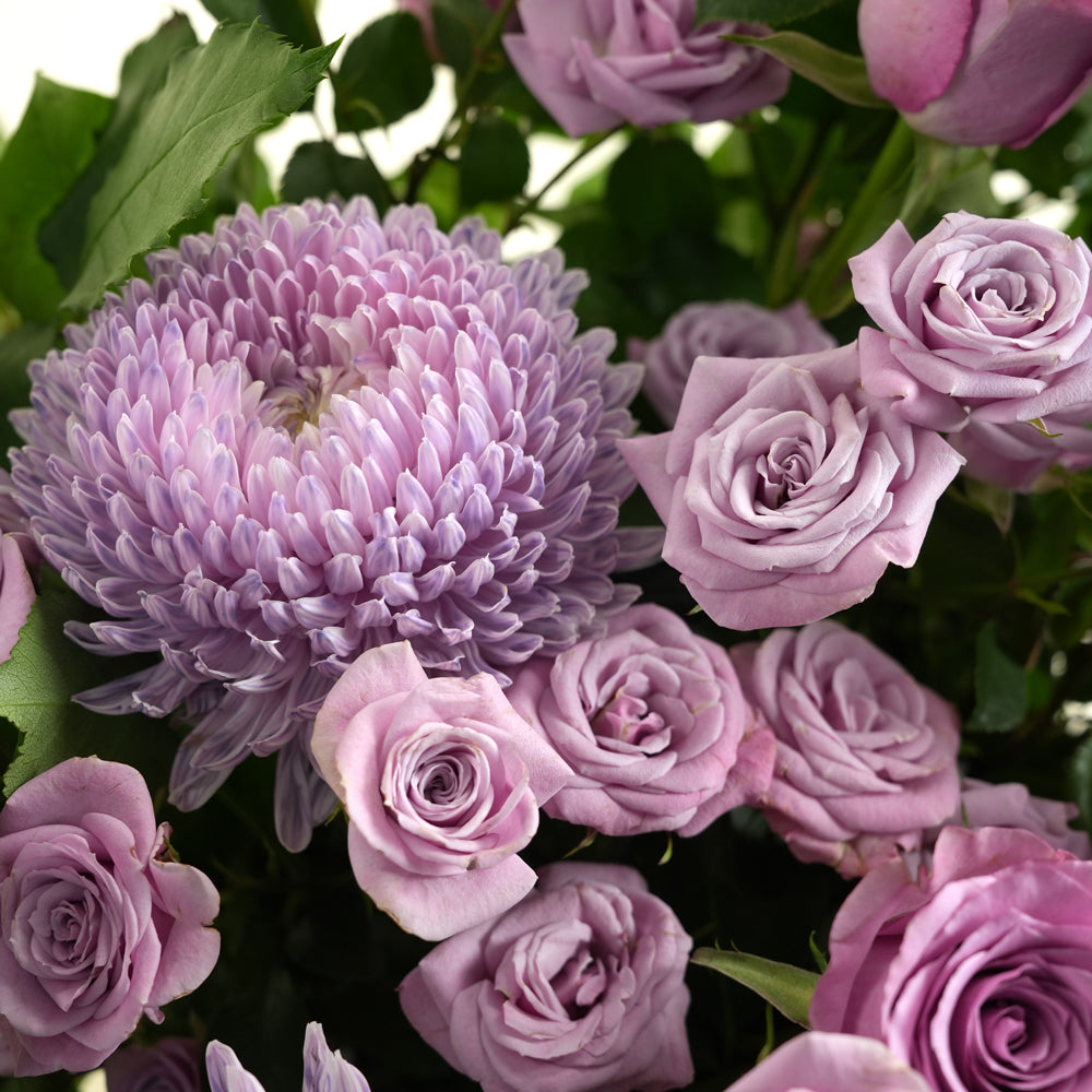 Close-up of pink and purple flowers with green leaves