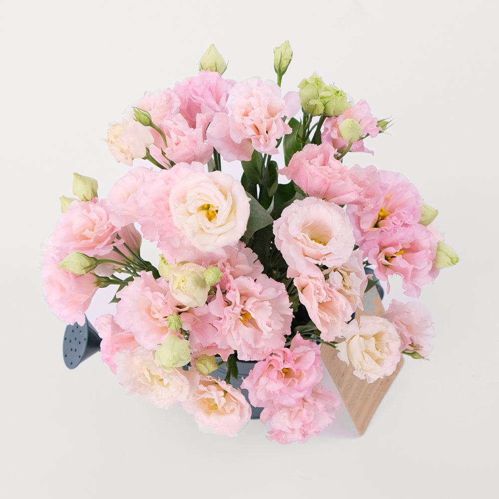 Lisianthus Light Pink Flowers Twigs-it Can