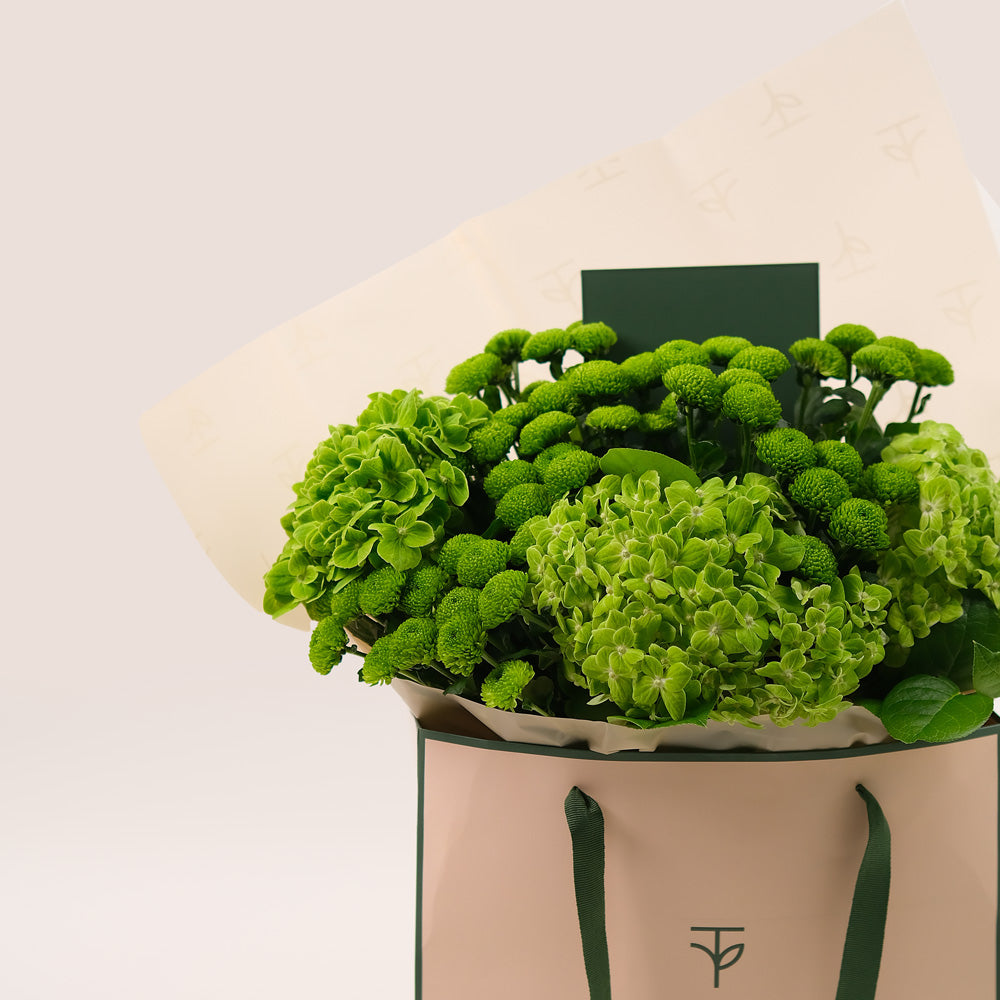 Green Bloom – Hand Bouquet of Hydrangeas & Button Mums - A Refreshing Hand-Tied Bouquet of Natural Charm