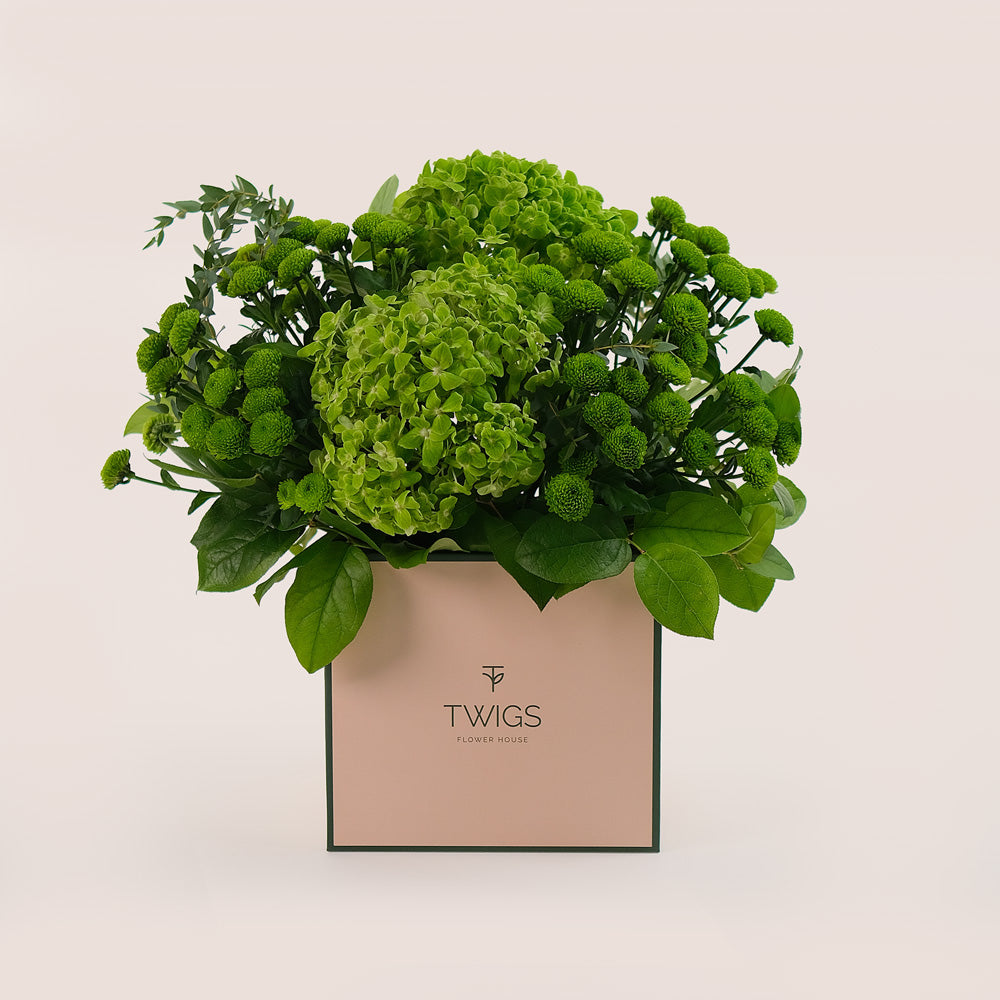 Verdant Charm – Green Hydrangeas & Button Mums in Signature Box - A Refreshing Floral Gift of Natural Elegance