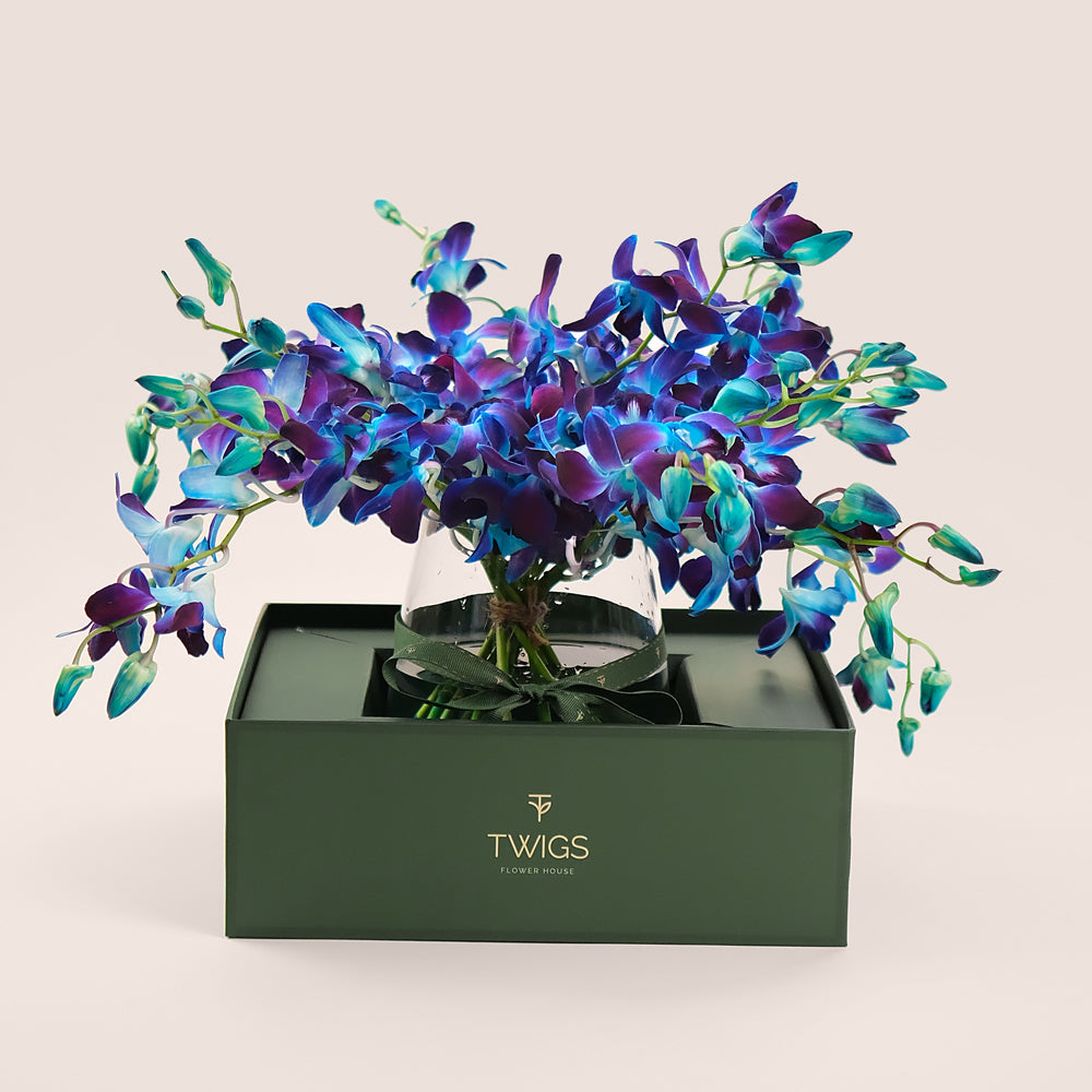 Blue Orchids -Dendrobium in Petite Vase | Elegant Gift in TWIGS Carry Box