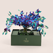 Blue Orchids -Dendrobium in Petite Vase | Elegant Gift in TWIGS Carry Box