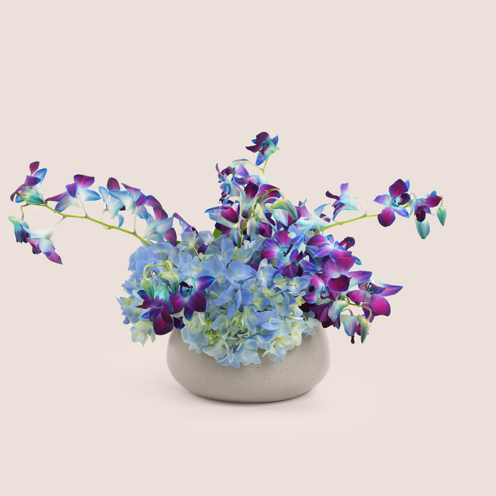 Blue dendrobium orchid and hydrangea arrangement in TWIGS grey ceramic vase — Eid Al Adha flower delivery Dubai