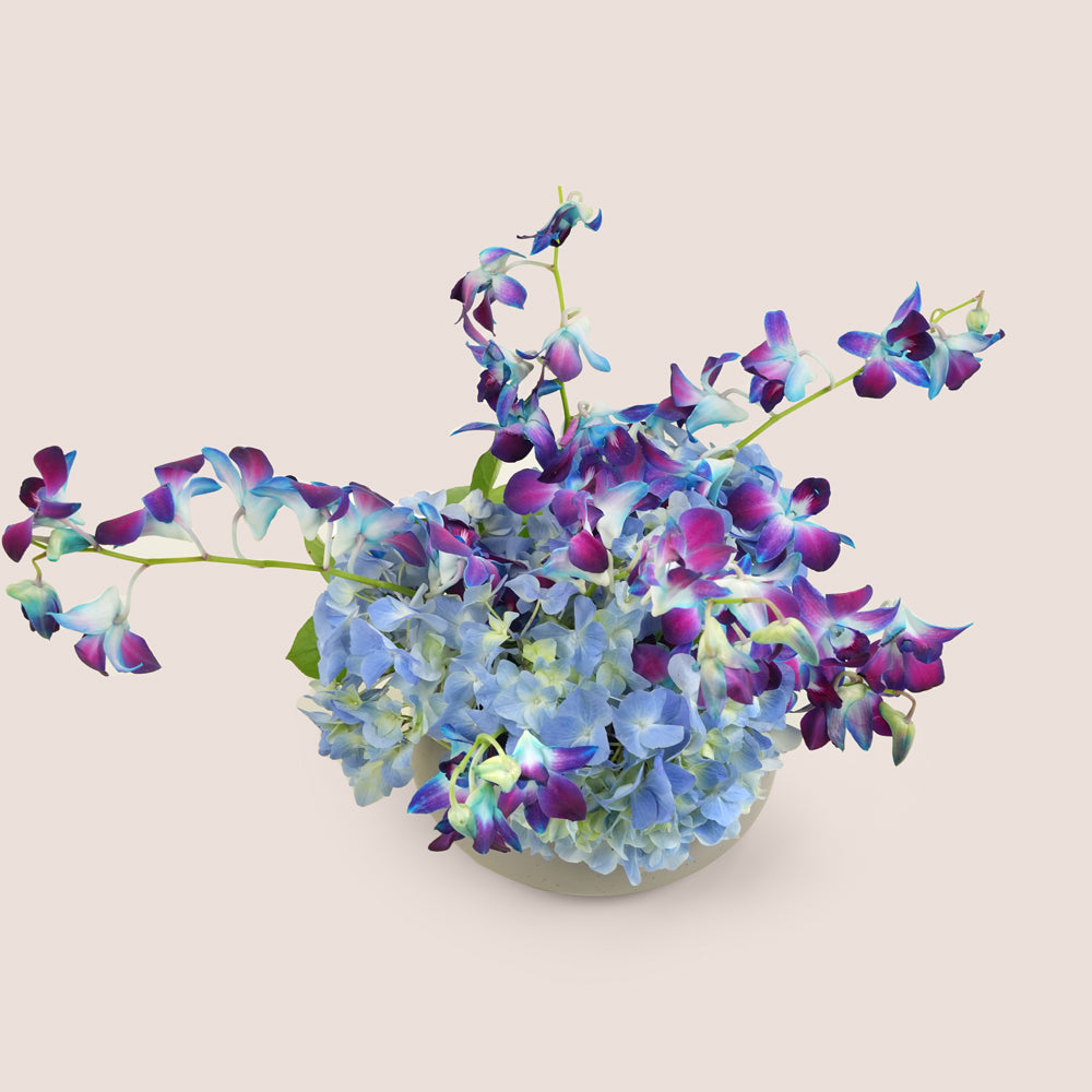 Mawj موج Blue Dendrobium Orchid & Hydrangea · Grey Ceramic Vase Arrangement