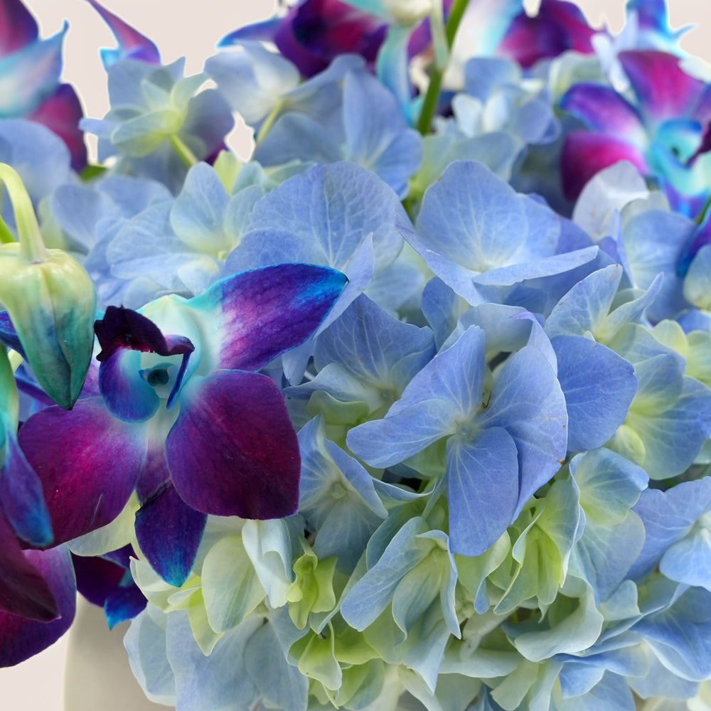 Mawj موج Blue Dendrobium Orchid & Hydrangea · Grey Ceramic Vase Arrangement