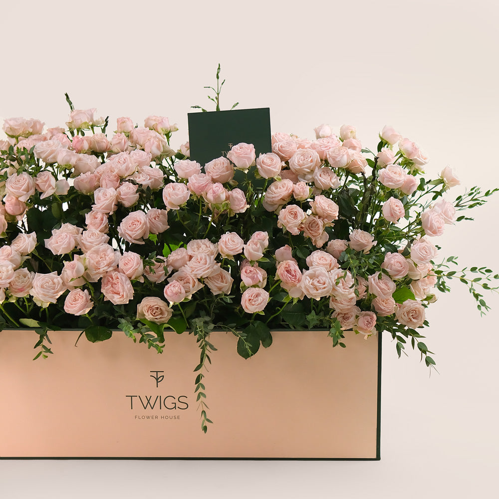 Premium Flower Garden Box of Soft Pink Roses – Subtle Elegance with a Fresh Touch