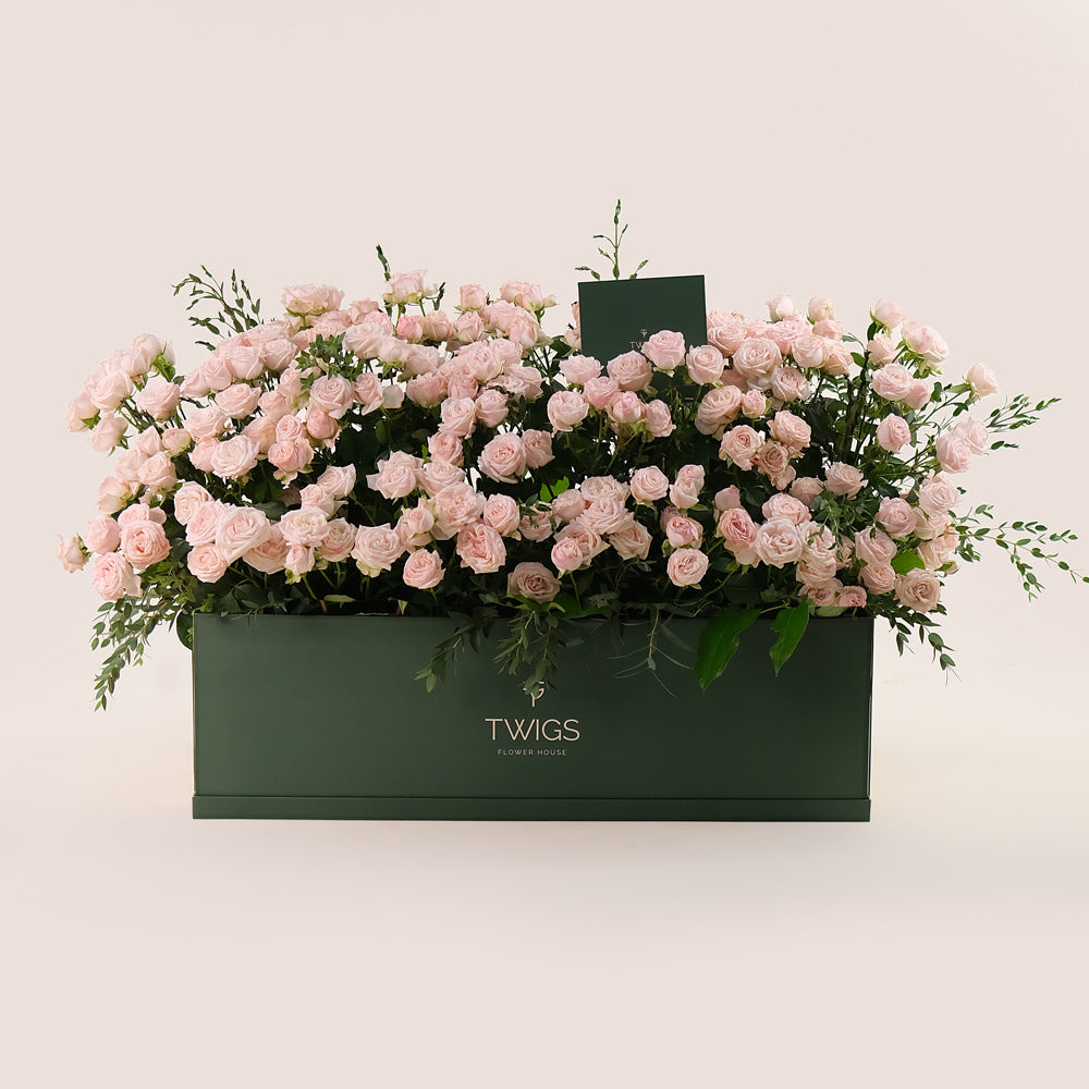 Premium Flower Garden Box of Soft Pink Roses – Subtle Elegance with a Fresh Touch