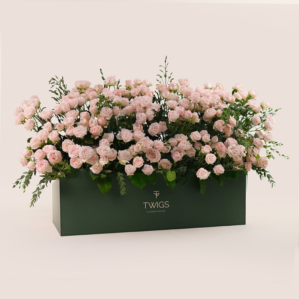 Premium Flower Garden Box of Soft Pink Roses – Subtle Elegance with a Fresh Touch