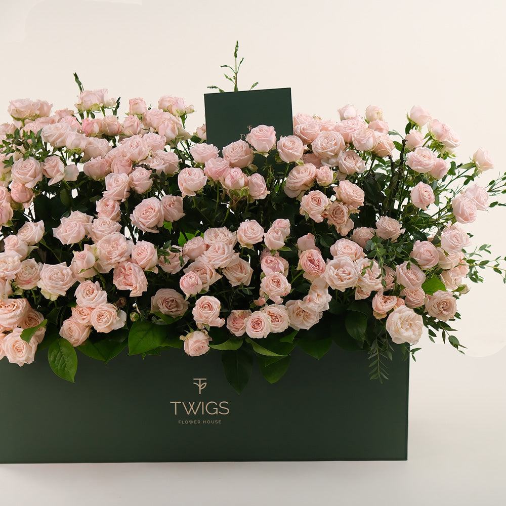 Premium Flower Garden Box of Soft Pink Roses – Subtle Elegance with a Fresh Touch