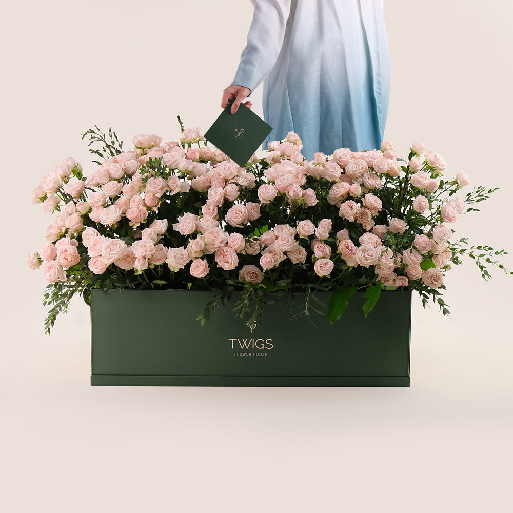 Premium Flower Garden Box of Soft Pink Roses – Subtle Elegance with a Fresh Touch