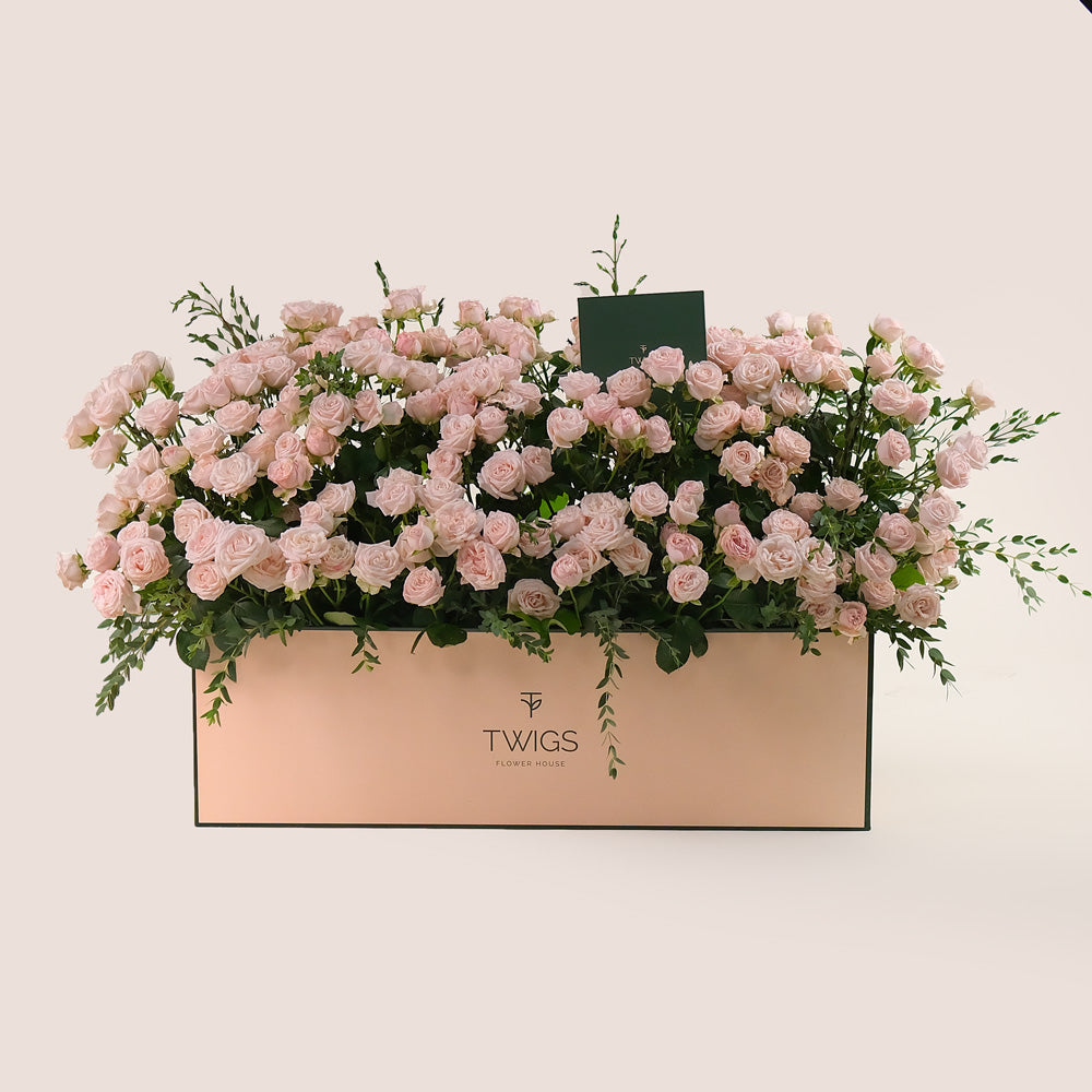 Premium Flower Garden Box of Soft Pink Roses – Subtle Elegance with a Fresh Touch