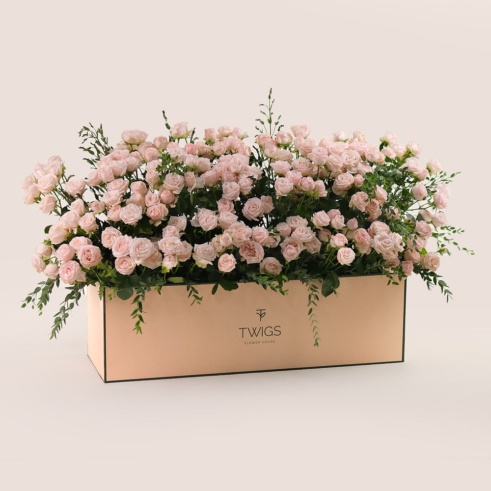 Premium Flower Garden Box of Soft Pink Roses – Subtle Elegance with a Fresh Touch