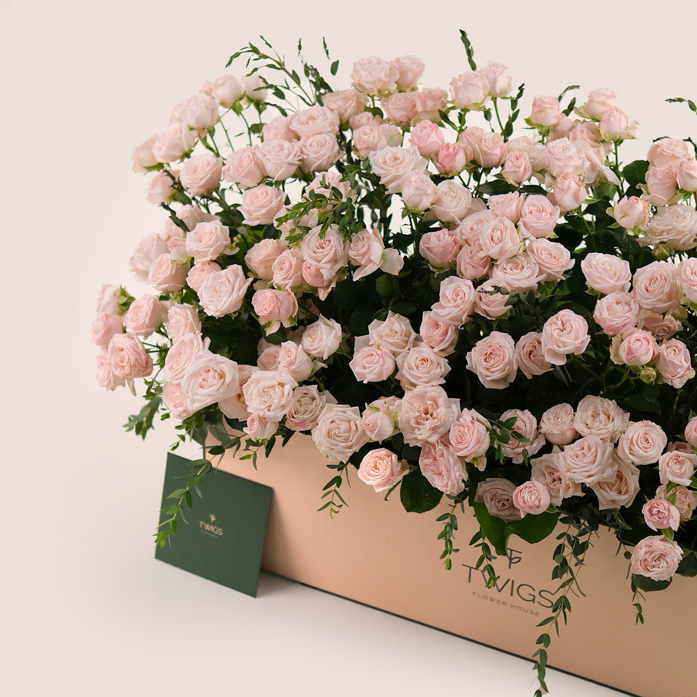 Premium Flower Garden Box of Soft Pink Roses – Subtle Elegance with a Fresh Touch