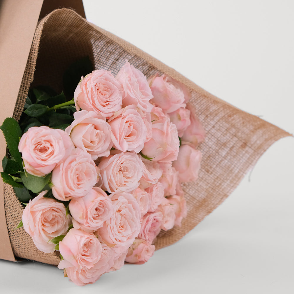 Mini Rosa Bombastic Bombastic Spray Rose Pink Flowers Bunch – TWIGS